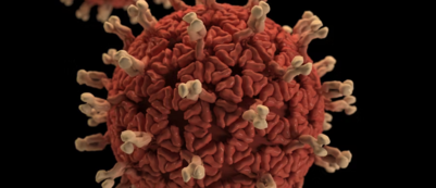 Immunsystem stärken – Gesundheit aktiv fördern